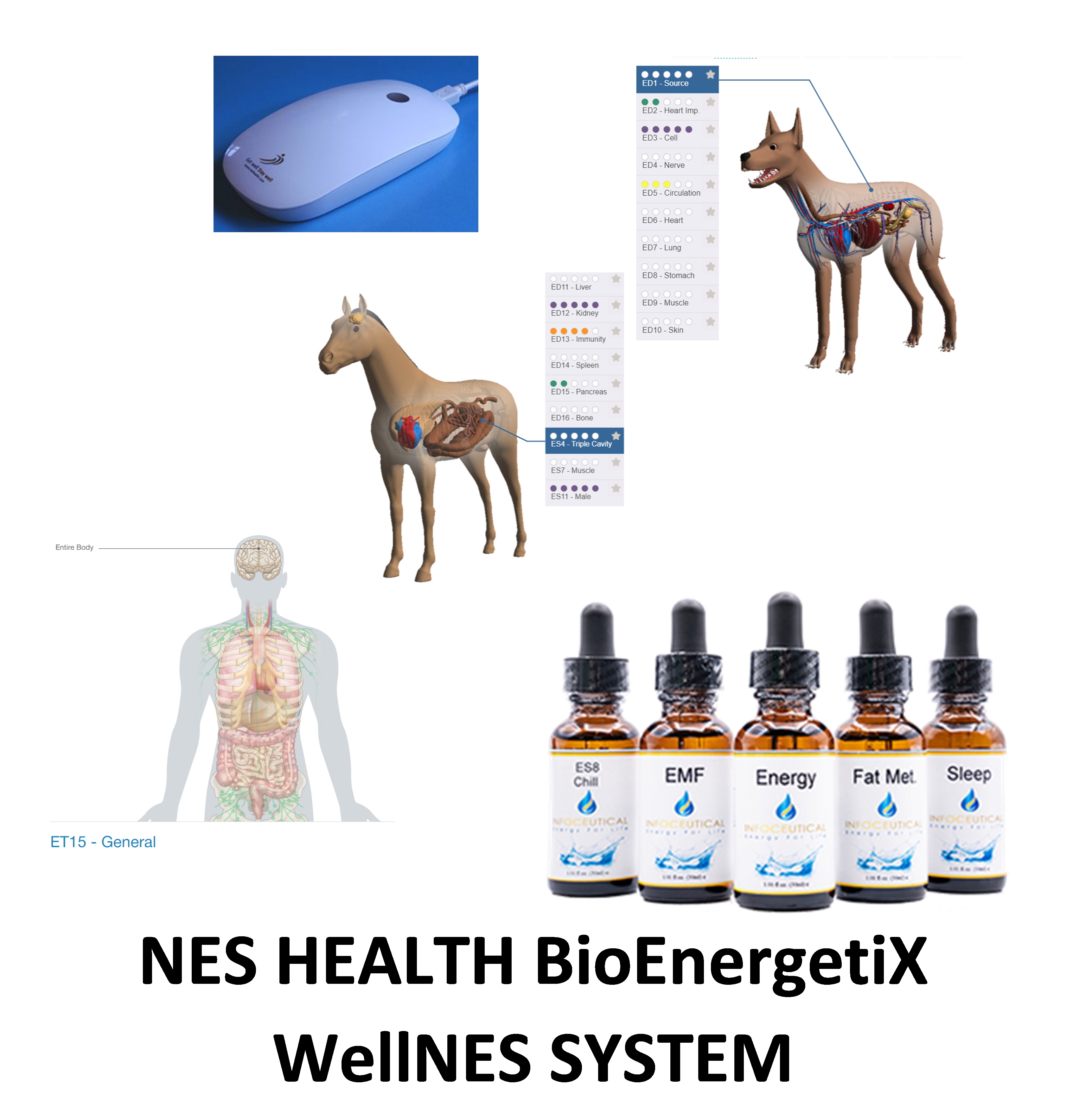NES Health WellNES System
